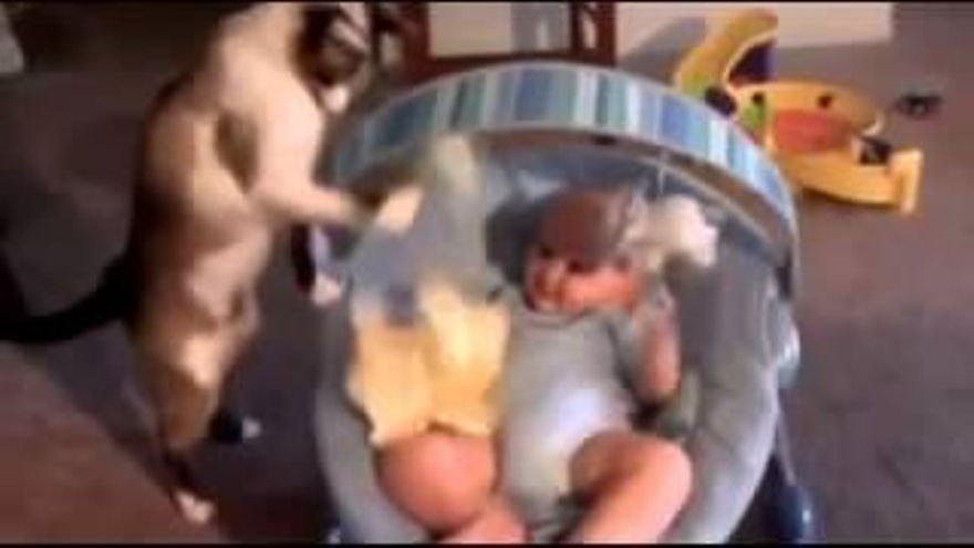 Si necesitas una niñera... Un gato es perfecto