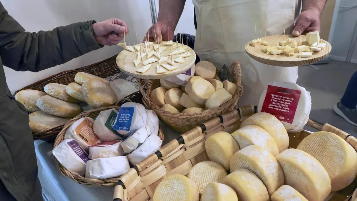 Imagen de archivo de distintos tipos de queso en una feria artesanal.
