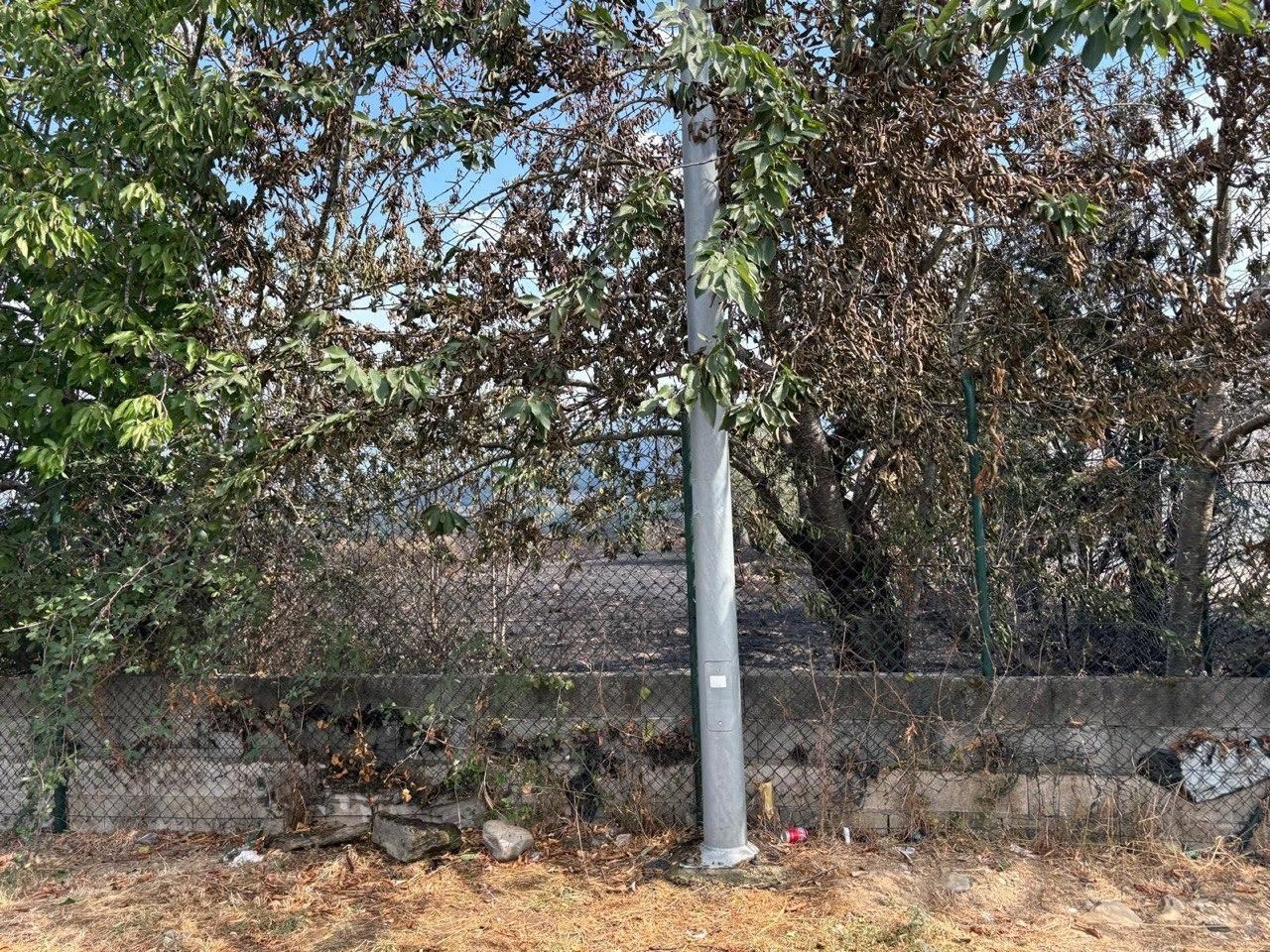 Incendio en Villaverde de los Cestos. / ILEÓN