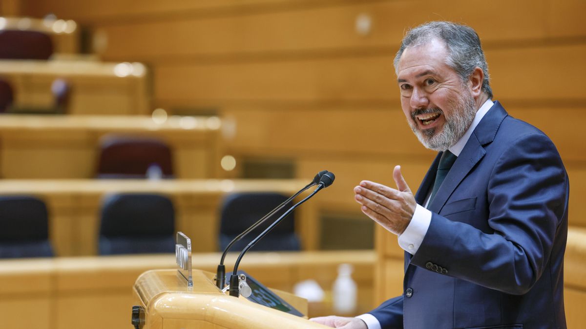 El senador del PSOE, Juan Espadas, interviene en el pleno del Senado, este miércoles. EFE/ Javier Lizón