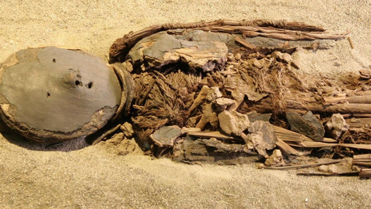 Las momias prehistóricas de Atacama guardan un detalle anatómico fuera de lo común: así se explica la reducción del cerebro tras miles de años en el desierto