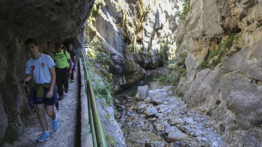 El 'Defensor' de Castilla y León pide que perros y niños no accedan a la Ruta del Cares y cupos de visitas en Picos de Europa