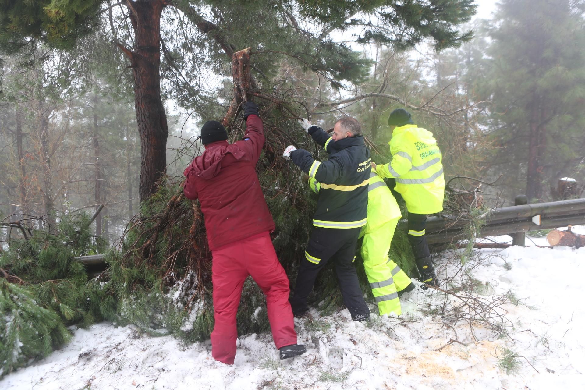Jornada del sábado, 20 de febrero en la cumbre (Alejandro Ramos).