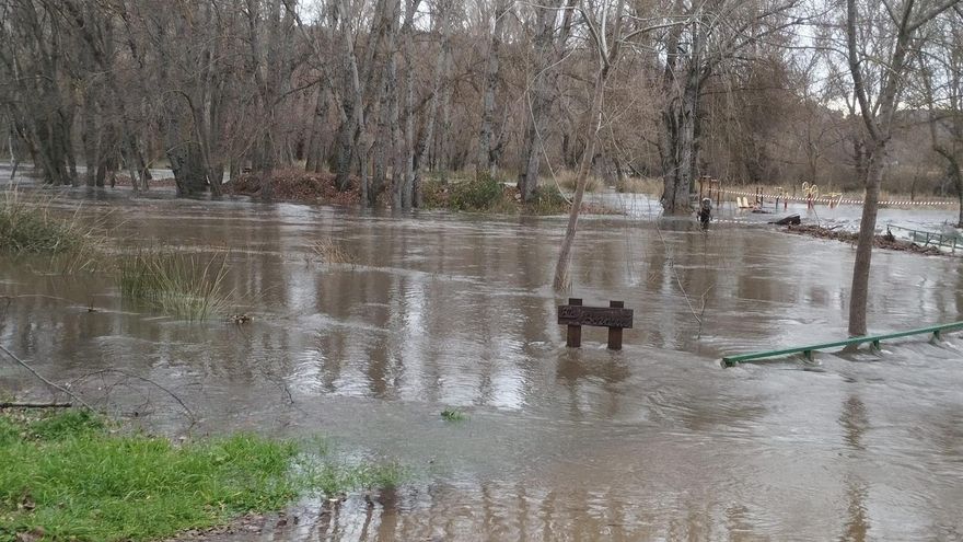 Agricultores de Guadalajara instan a pedir la declaración de zona catastrófica por los cultivos dañados por la borrasca