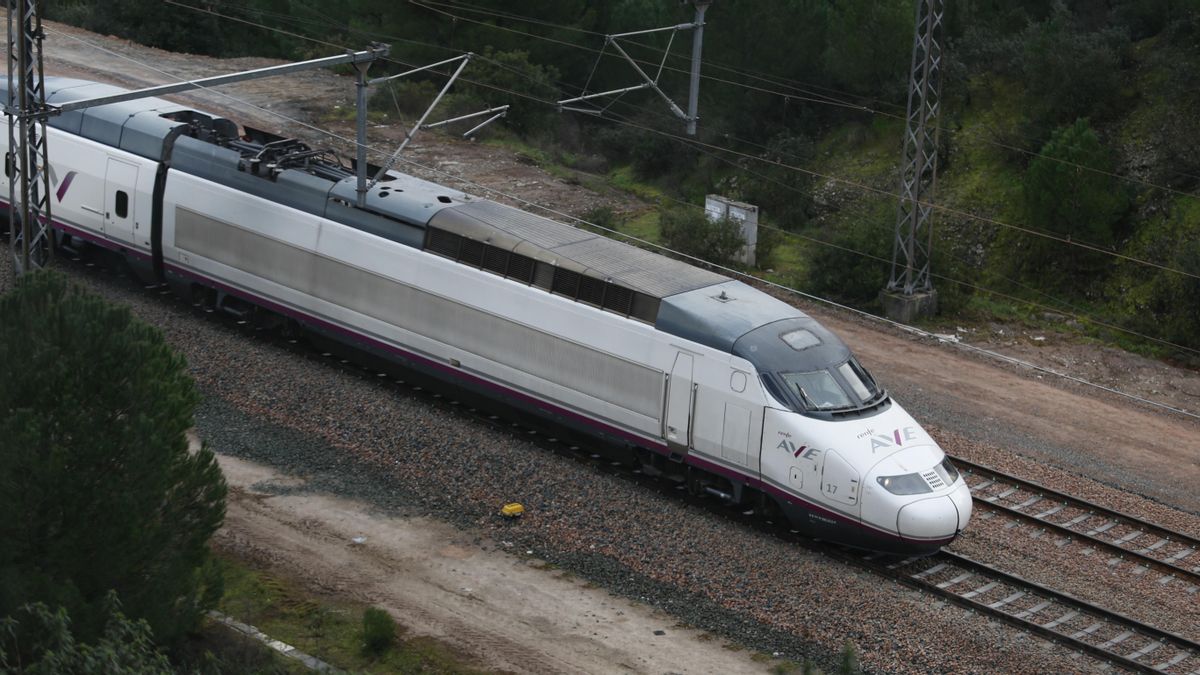 Un Ave, en la zona del siniestro.