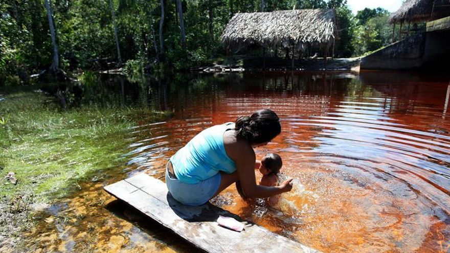 Los bosques secundarios, un arma contra el cambio climático en Latinoamérica