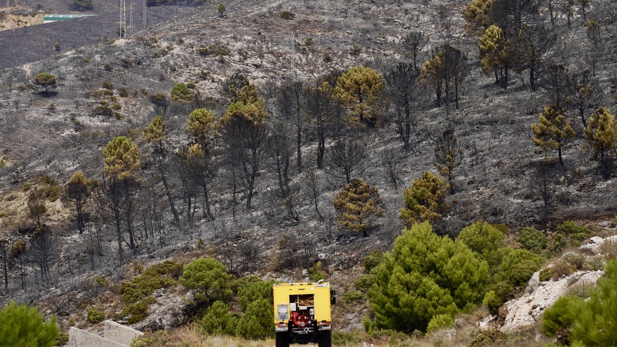 Controlado el incendio de Igualeja (Málaga): 90 efectivos continúan trabajando para su total extinción