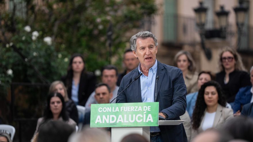 El presidente del PP, Alberto Núñez Feijóo.