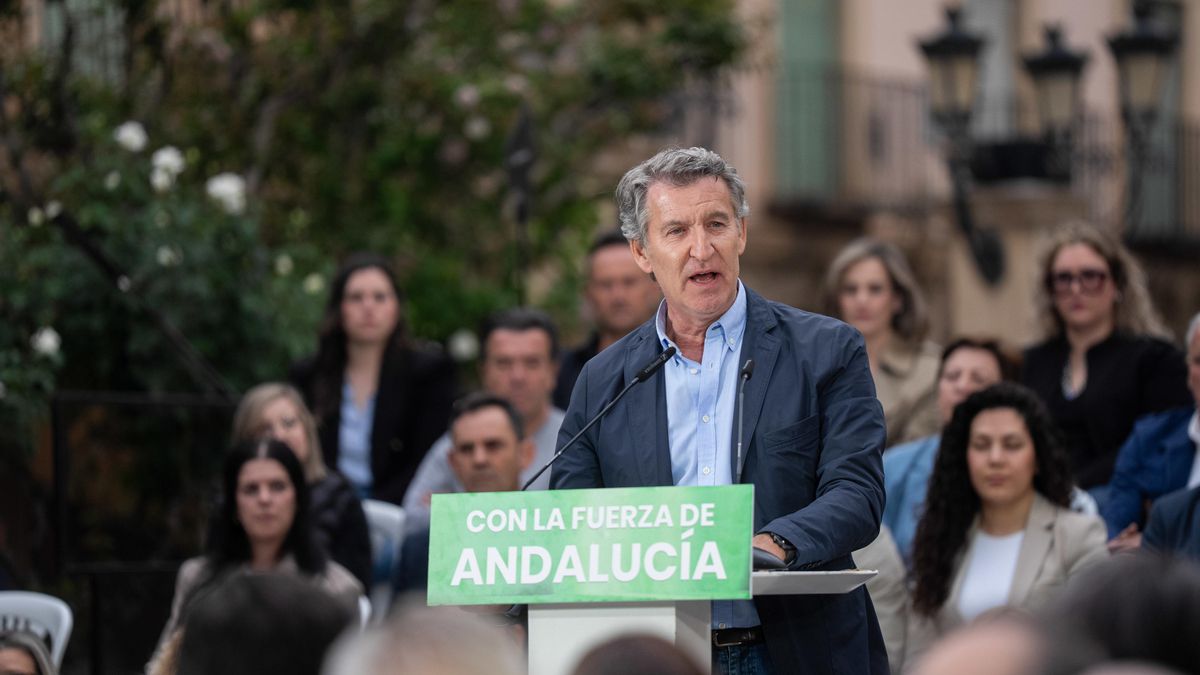 El presidente del PP, Alberto Núñez Feijóo.