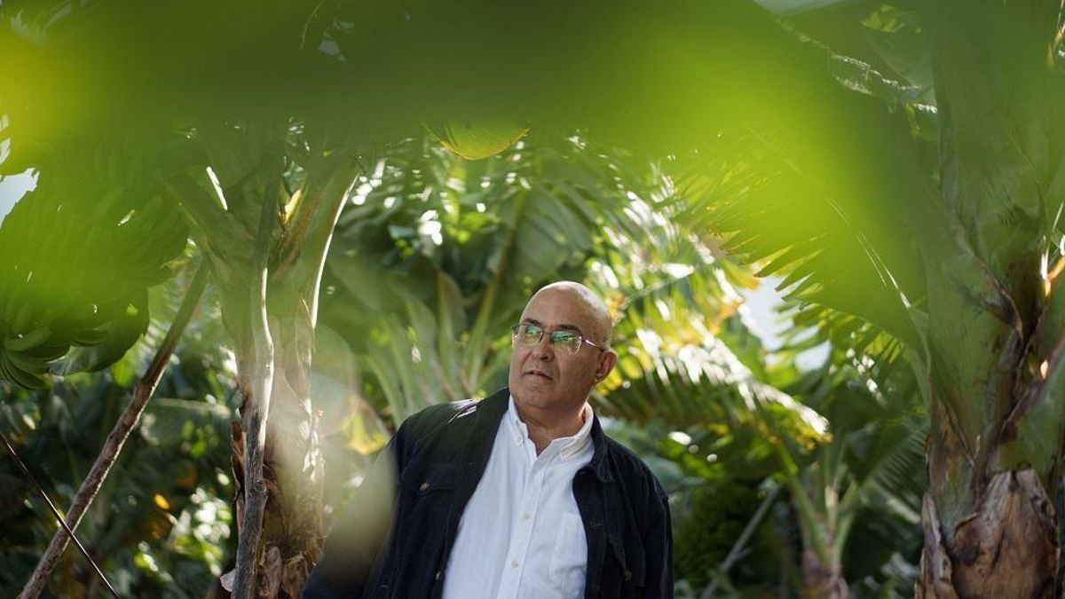 Contigo La Palma plantea soluciones estructurales para salir de “la crisis larvada” del sector platanero