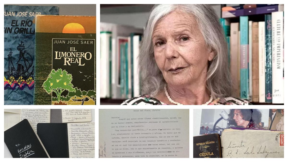 Más de cuatro mil libros, cartas, apuntes y fotografías de Beatriz Sarlo quedaron al cuidado del CeDinCi.