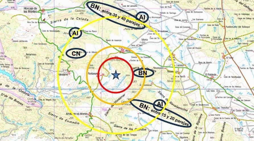 Especies amenazadas en la zona de afección territorial del proyecto. 
AI: águila imperial. AR: águila real. BN: buitre negro. CN: cigüeña negra