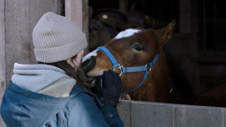 'The last of us' también triunfa en redes con mucho humor por los errores de sus capítulos