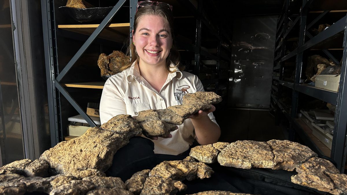 La investigadora Mackenzie Enchelmaier sostiene el intestino fosilizado.