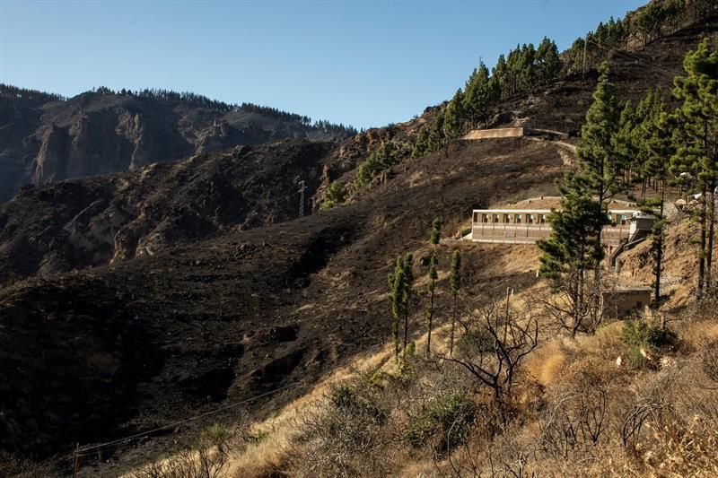 Zonas afectadas por el fuego del incendio forestal, vistas desde la cruz de Tejeda.