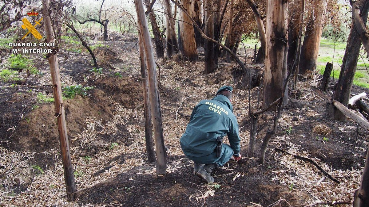 Guardia Civil, en el lugar del incendio de Espiel.