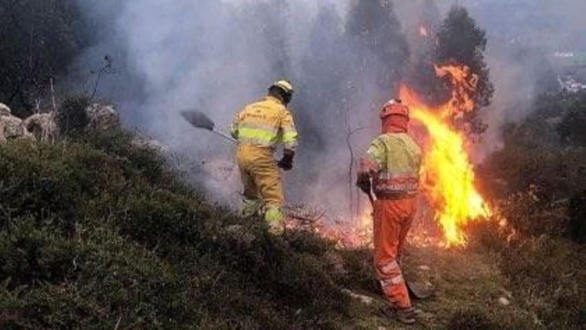 Incendio forestal.