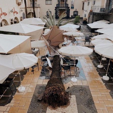 Palmera del Bodegón Pueblo Canario, caída sobre la terraza