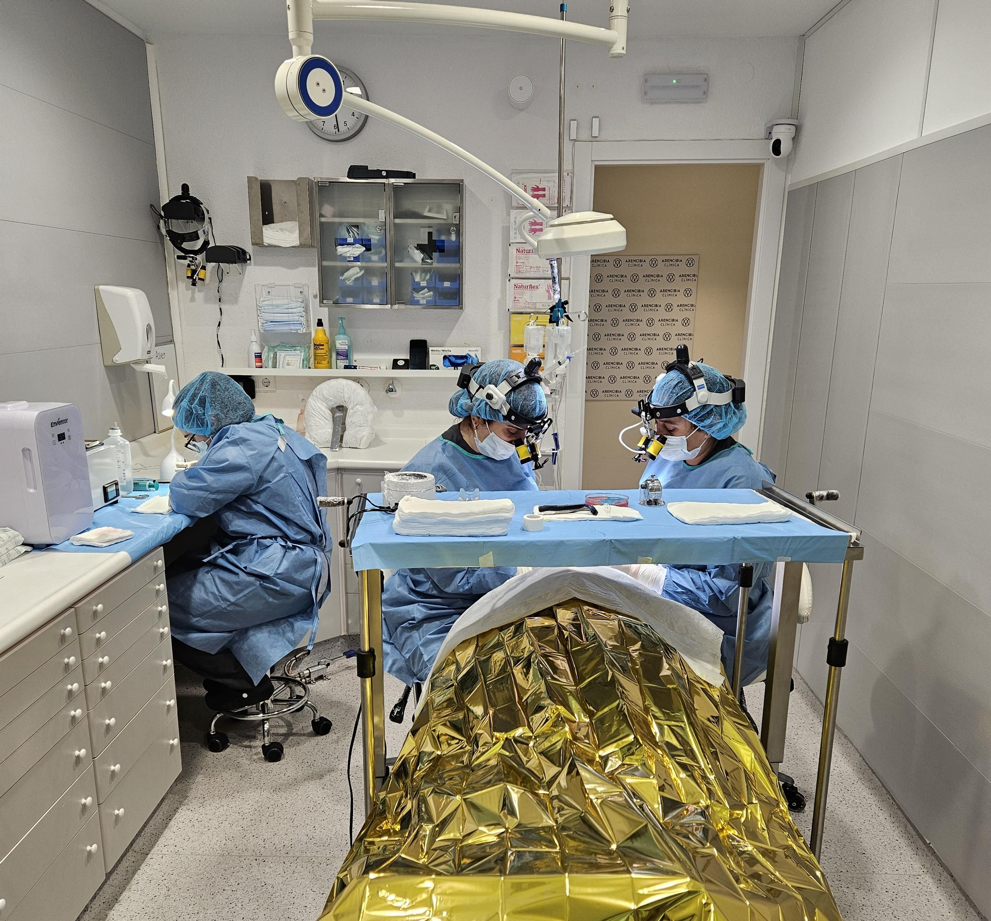 La doctora Guerrero, en quirófano