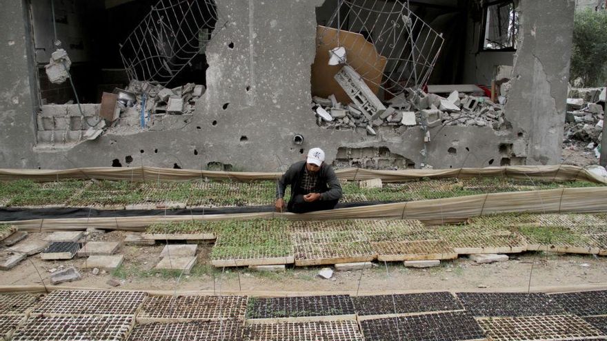 Apoyar a los agricultores de Gaza para que sobrevivan y ayuden a alimentar a una población hambrienta