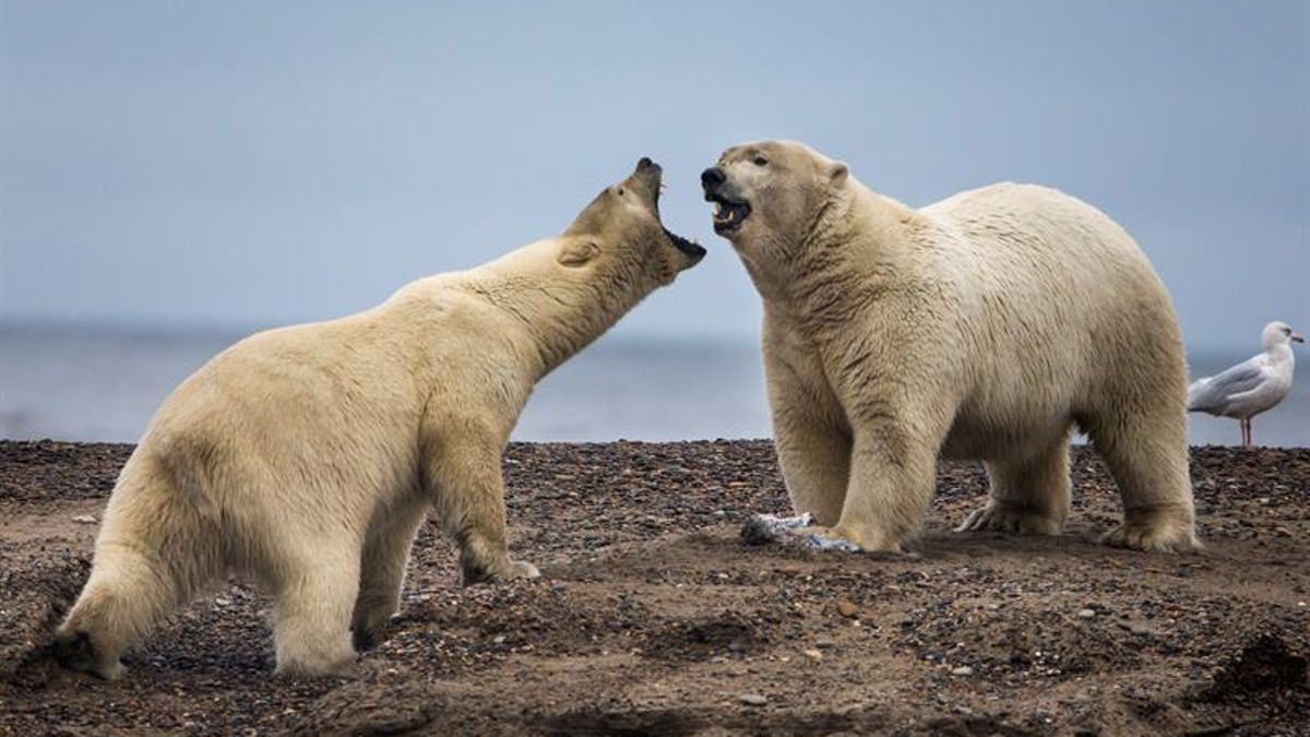 Las decisiones valientes y anticipadas que salvaron la capa de ozono hoy no se repiten