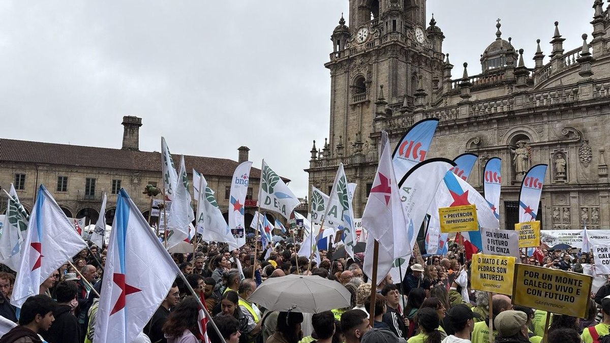 Manifestación contra la política forestal de la Xunta en la Praza da Quintana, Santiago.