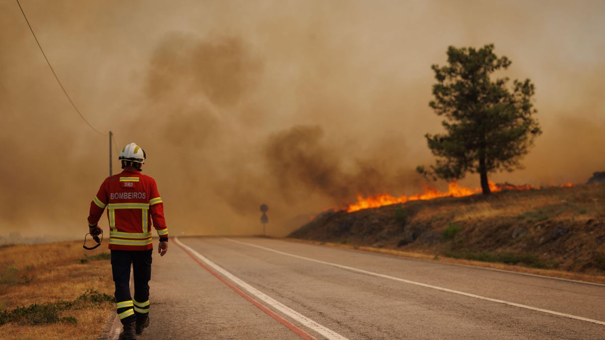Un estudio alerta de que la mortalidad asociada a partículas finas de incendios podría estar subestimada en un 93%
