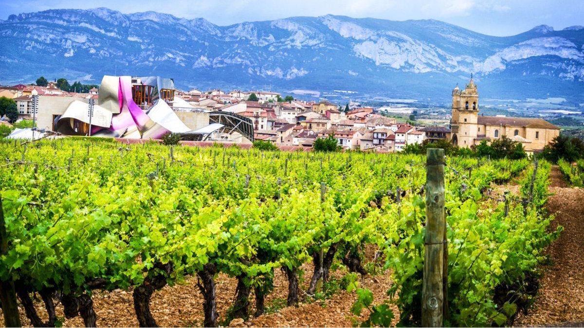 El Gobierno vasco insiste en la "diferenciación" de los vinos de Álava dentro de la denominación de origen Rioja