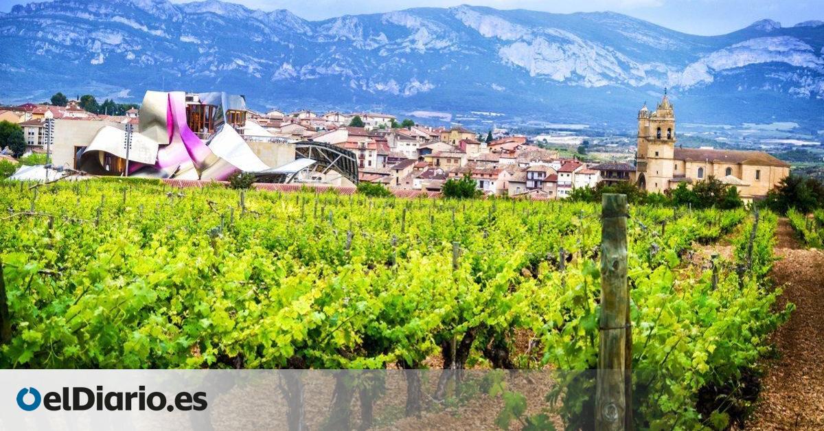 El Gobierno vasco insiste en la  diferenciación  de los vinos de Álava dentro de la denominación de origen Rioja