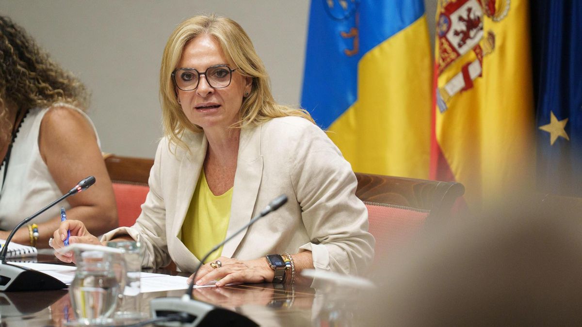 Sanidad prevé incorporar hasta una veintena de enfermeras escolares más el próximo curso en Canarias