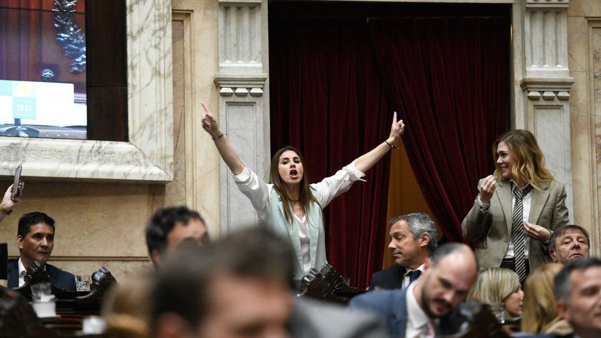 Marcela Pagano y Lilia Lemoine, en la sesión del 27/8/2025