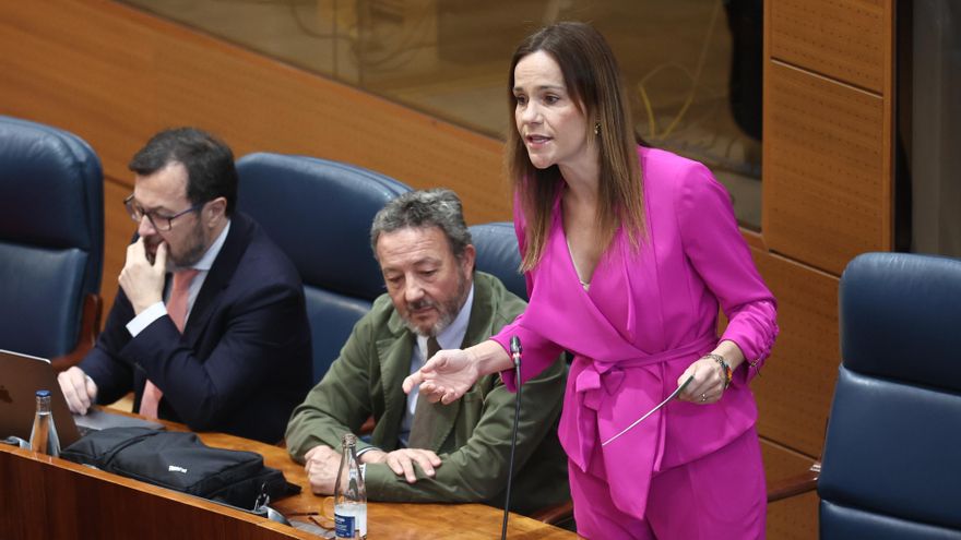 La portavoz de Vox en la Asamblea de Madrid, Isabel Pérez Moñino, durante una sesión plenaria.