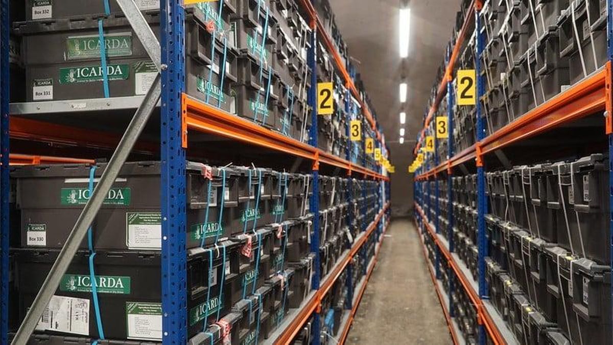 La bóveda cuenta con una capacidad de 4,5 millones de muestras, hoy son 1.378.238 de 6,521 especies almacenadas.