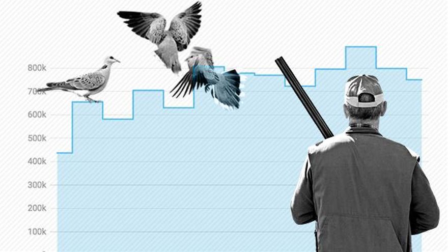 Cientos de miles de tórtolas quedarán a salvo de las escopetas este verano en España