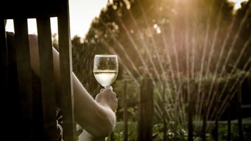 11 vinos blancos sabrosos para cuando el calor te quita las ganas de tinto