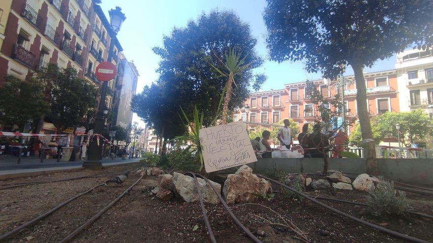 En el corazón de Lavapiés