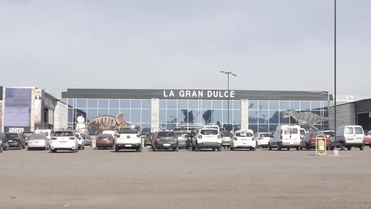 Tras el derrape de febrero, se expande es la economía informal y se resienten los servicios del Estado