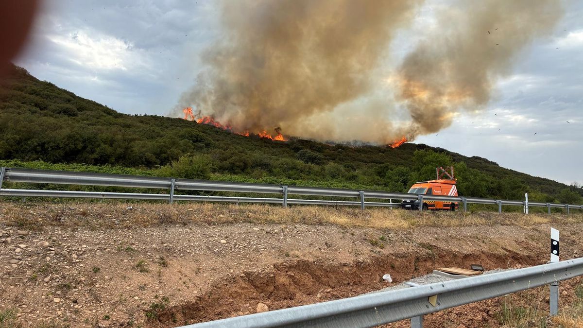 Cortada la AP-68 sentido Zaragoza por un incendio forestal cerca de Marqués de Vargas: medios aéreos y terrestres tratan de sofocarlo