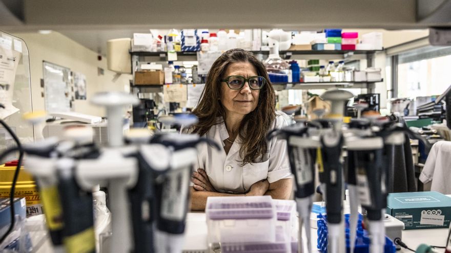 Susana Puig: "Investigadores que miraban a Estados Unidos ahora ven más oportunidades aquí"