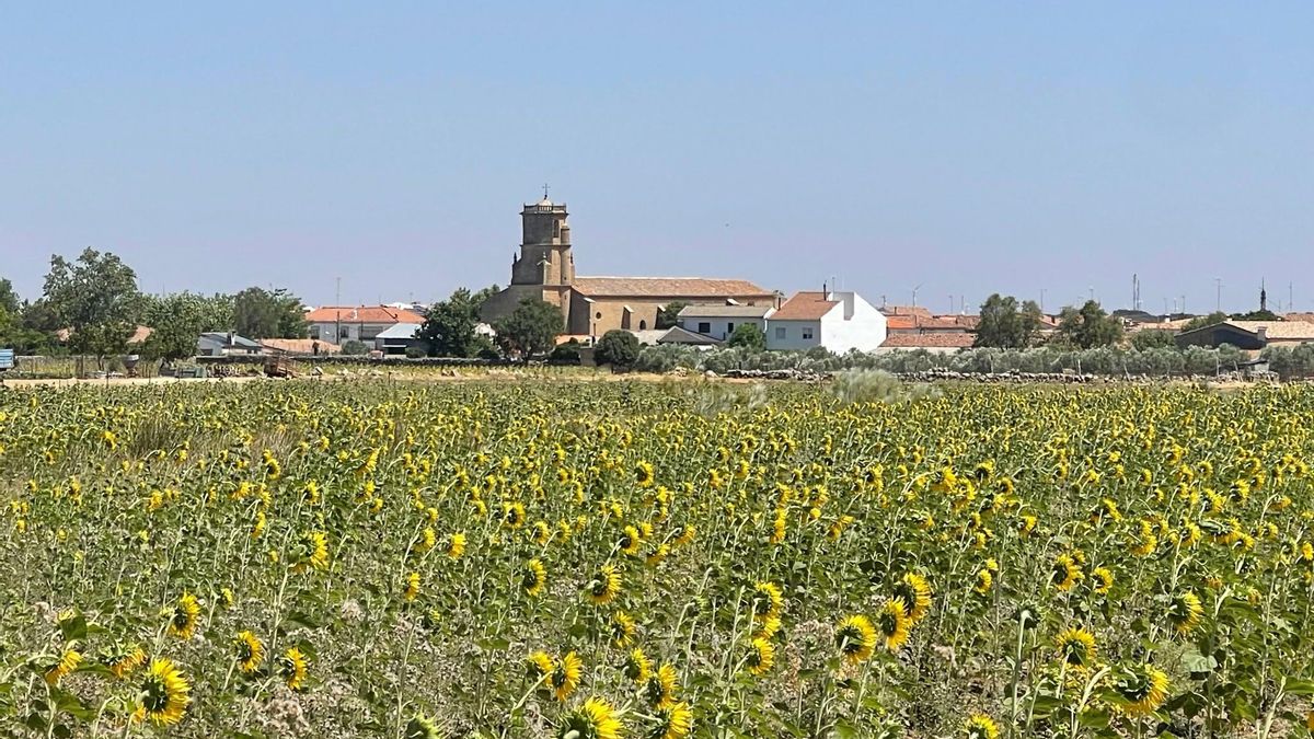 Vianos (Albacete)