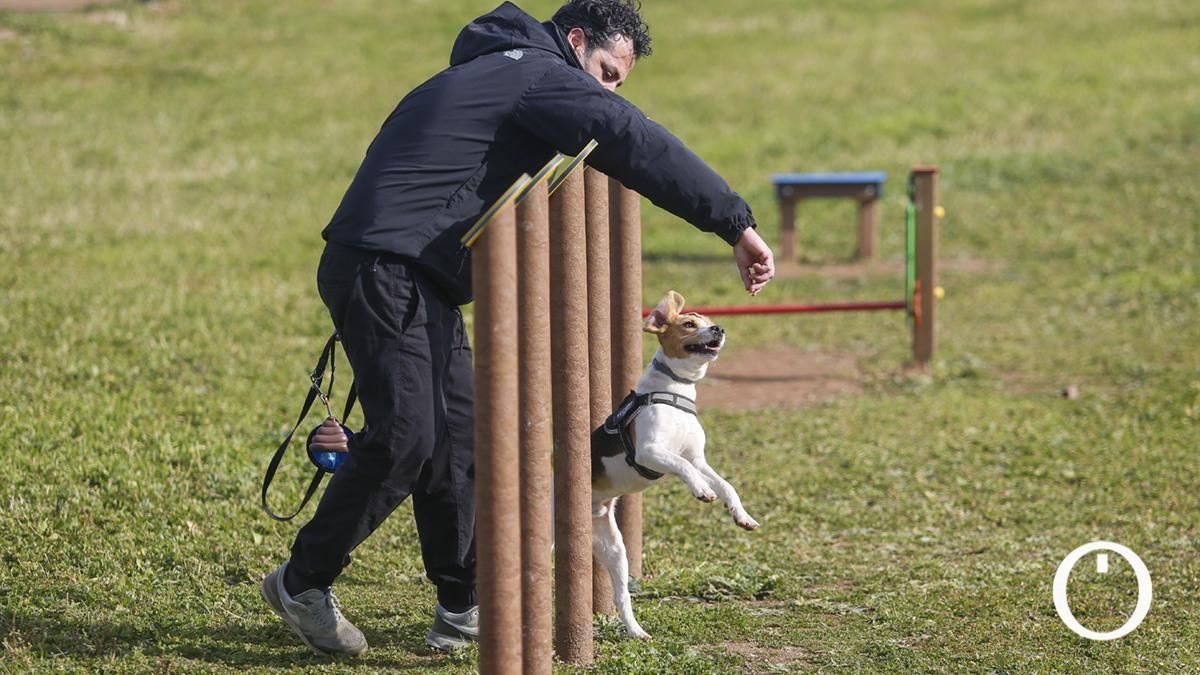 Parque Canino en el Parque del Flamenco