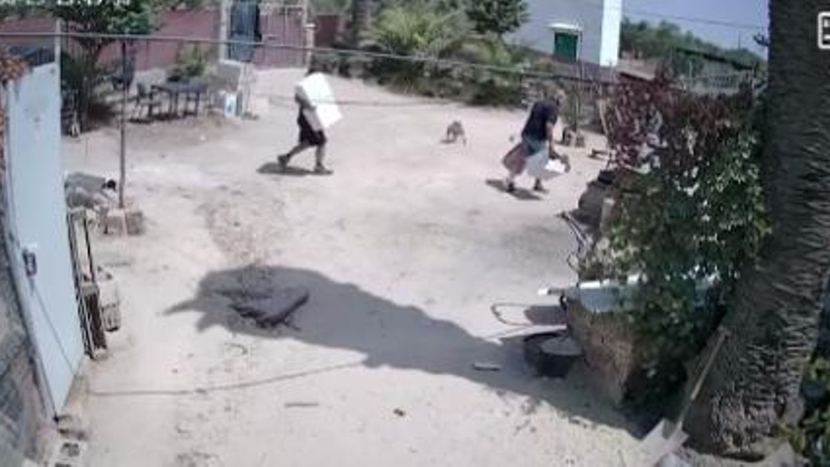 Roban más de 120 kilos de pienso y herramientas en el refugio canino de un pueblo de Córdoba