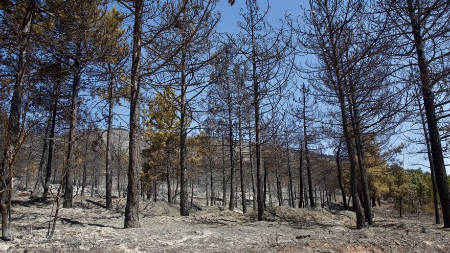 Declarado un incendio en Ribafrecha (La Rioja), al parecer, por un rayo