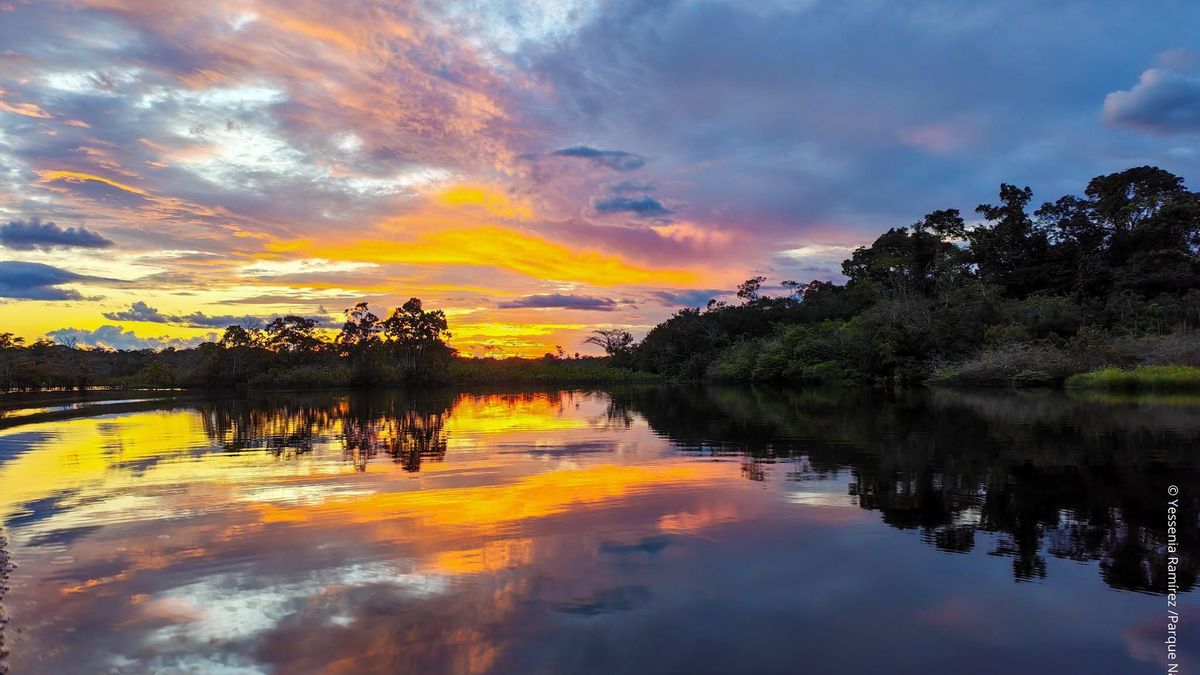La laguna Jatuncocha es uno de los atractivos del Parque Nacional Yasuní. Foto: cortesía Yessenia Ramírez/Parque Nacional Yasuní
