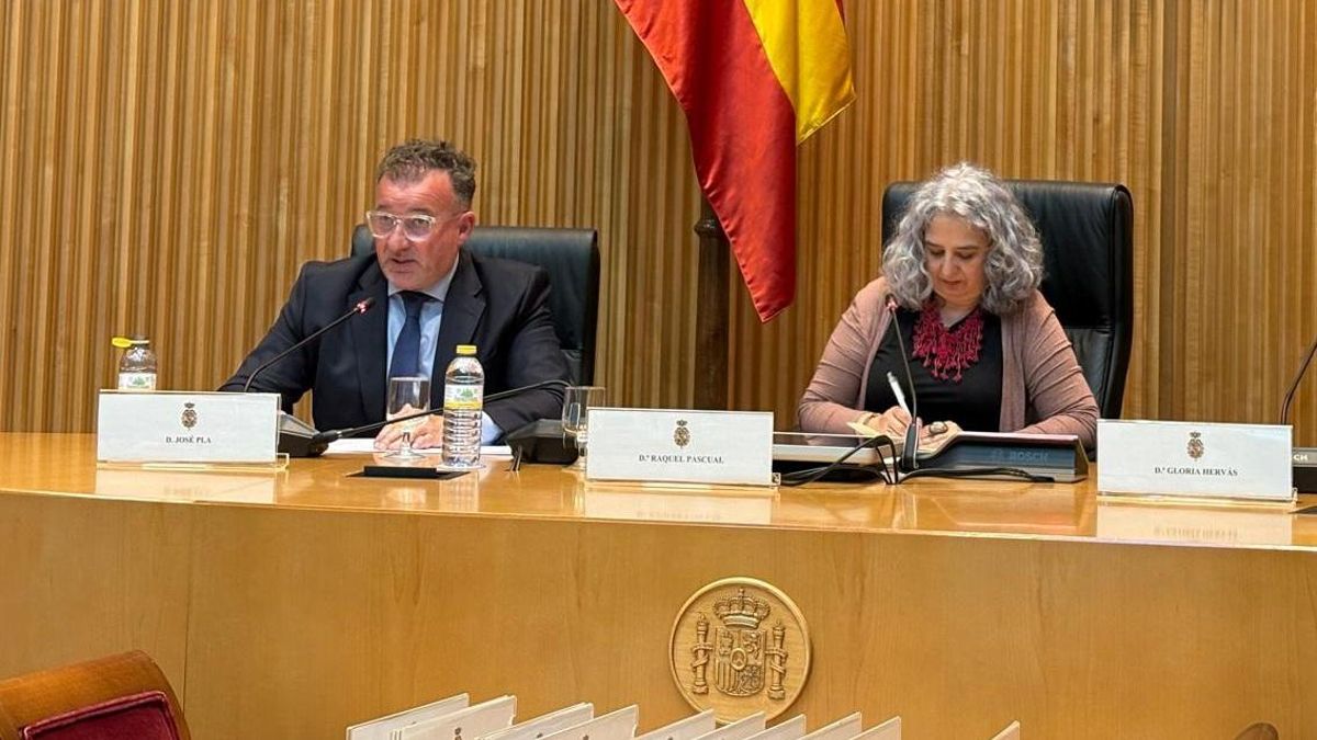 José Pla, presidente de Caixa Ontinyent, durante su intervención en el Congreso.
