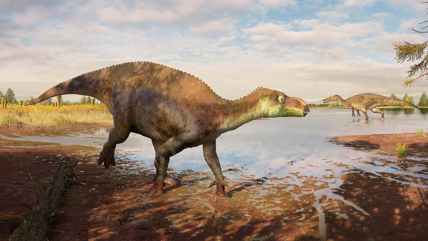 Unos fósiles encontrados en una fábrica de ladrillos revelan una especie de dinosaurio desconocida hasta ahora