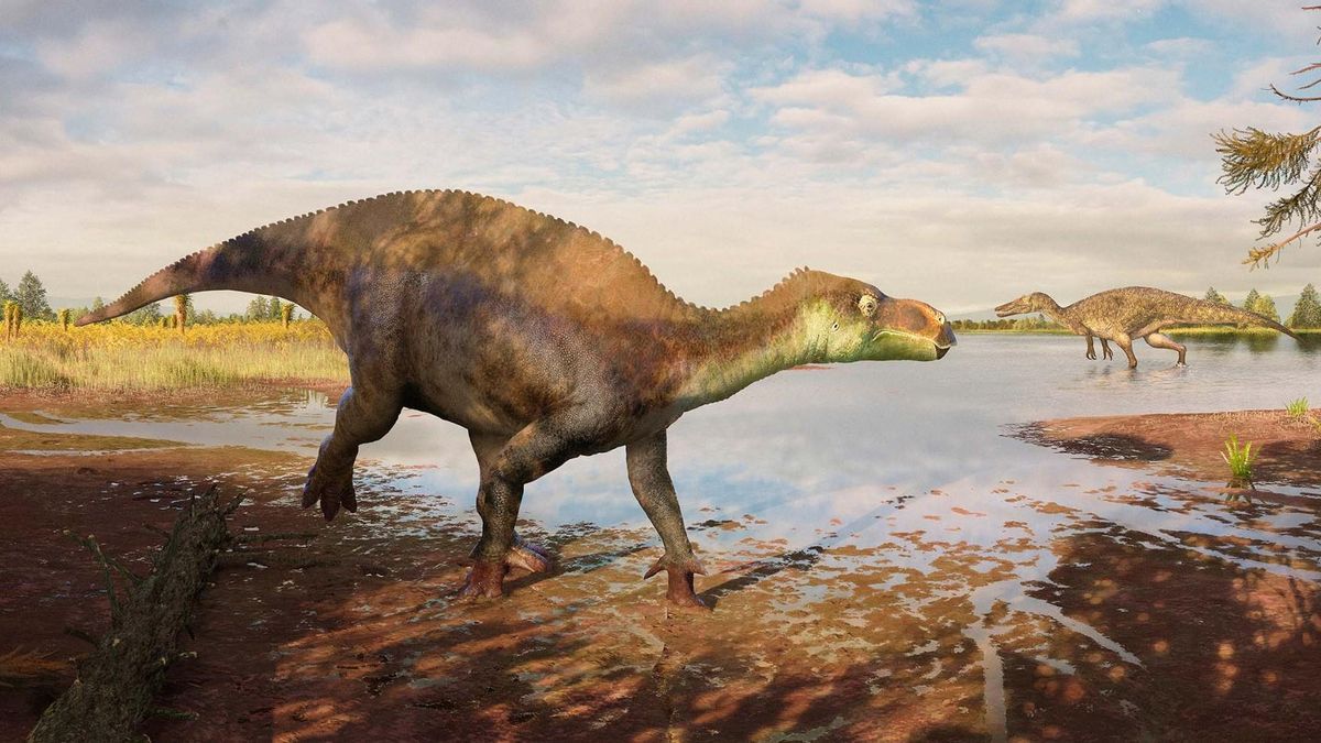 Unos fósiles encontrados en una fábrica de ladrillos revelan una especie de dinosaurio desconocida hasta ahora