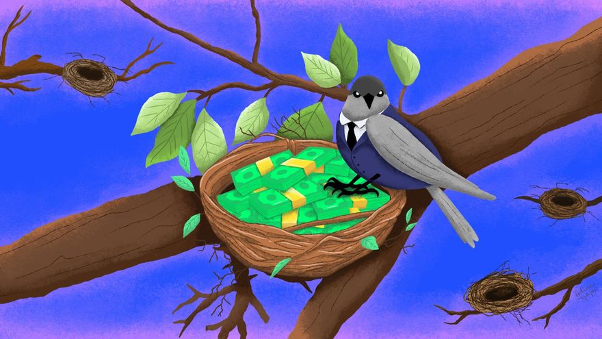 Pequeños nichos donde sí hay plata