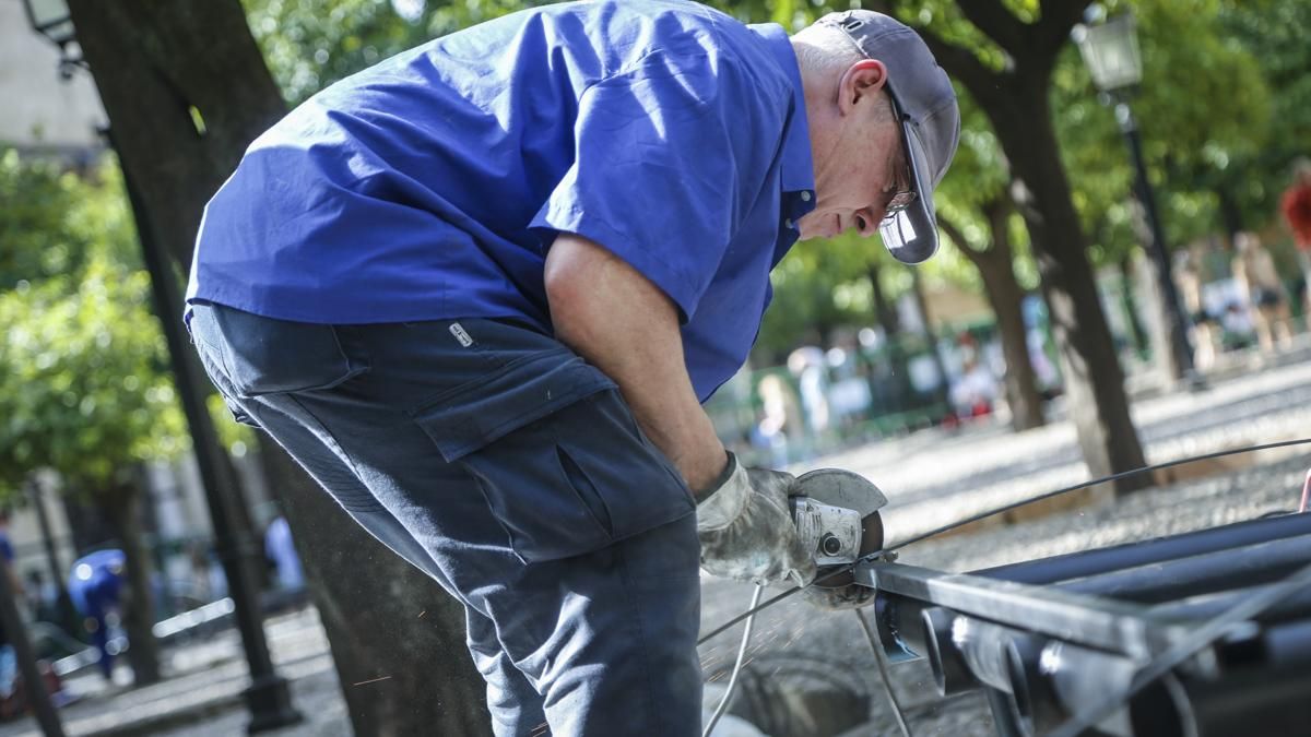 Comienzo del montaje de Flora 2025