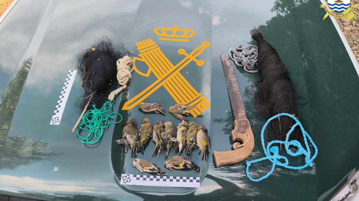 Sorprendido 'in fraganti' cazando aves protegidas cerca de Santa Cruz